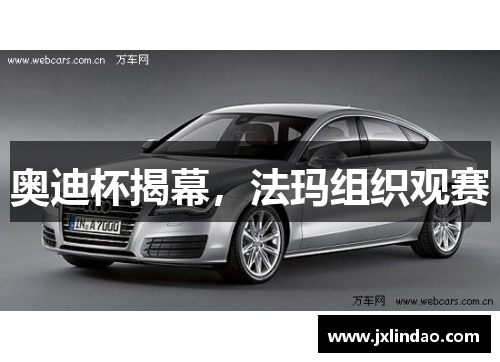 奥迪杯揭幕，法玛组织观赛